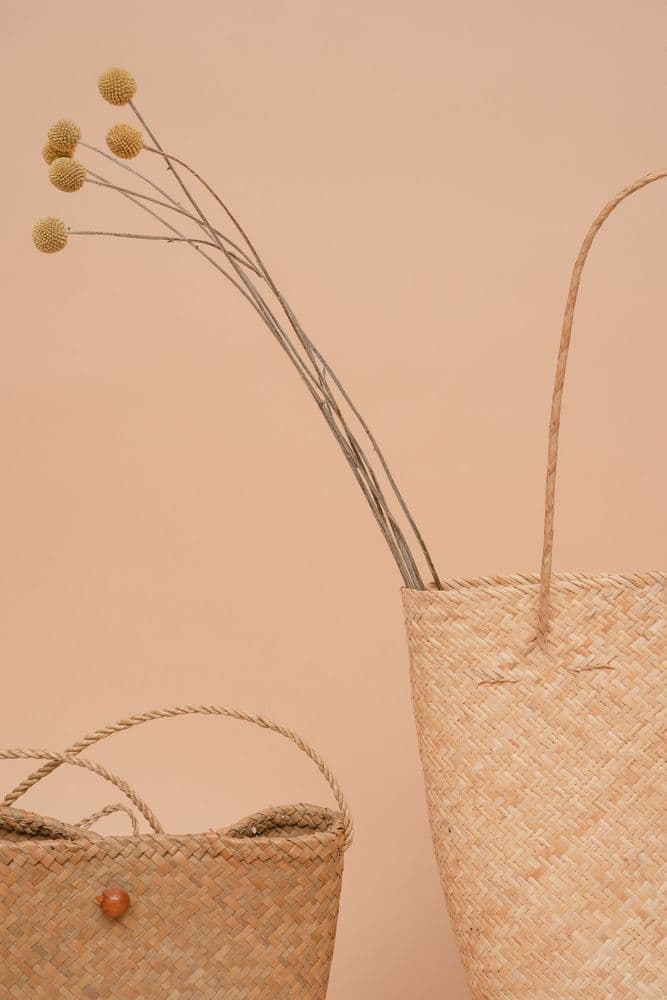 Two woven baskets with dried flowers against a peach wall